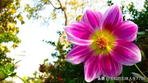 睡觉前躺着玩手机危害有多大,孕妈玩手机对孩子的危害