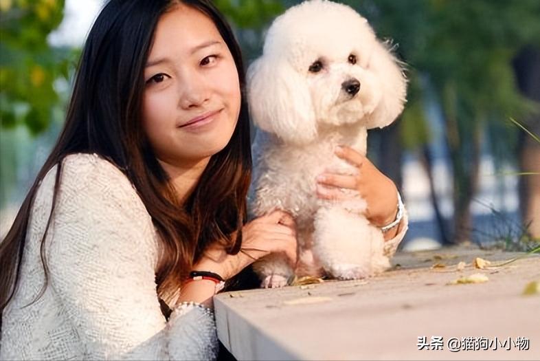 泰迪为啥那么讨人厌,泰迪真的好色么