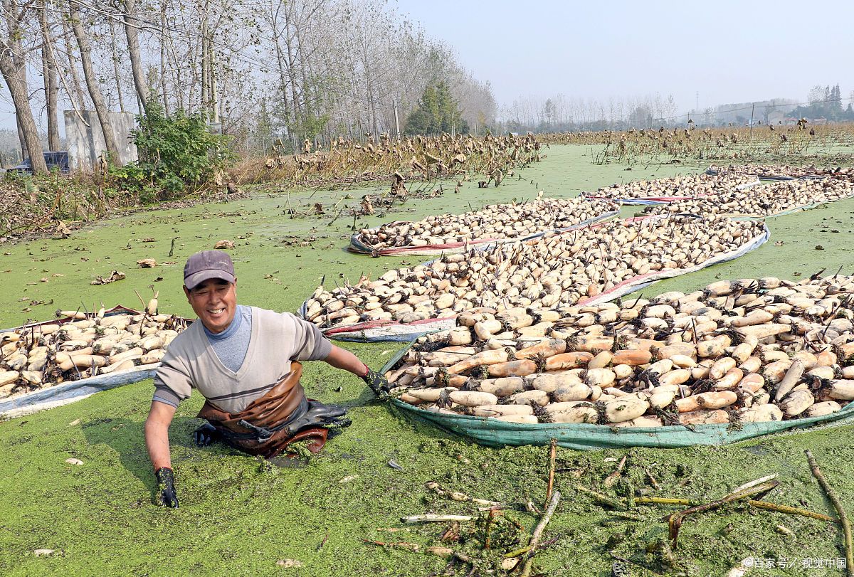 武汉十大特产排行榜，每次去了都必须吃一份热干面！
