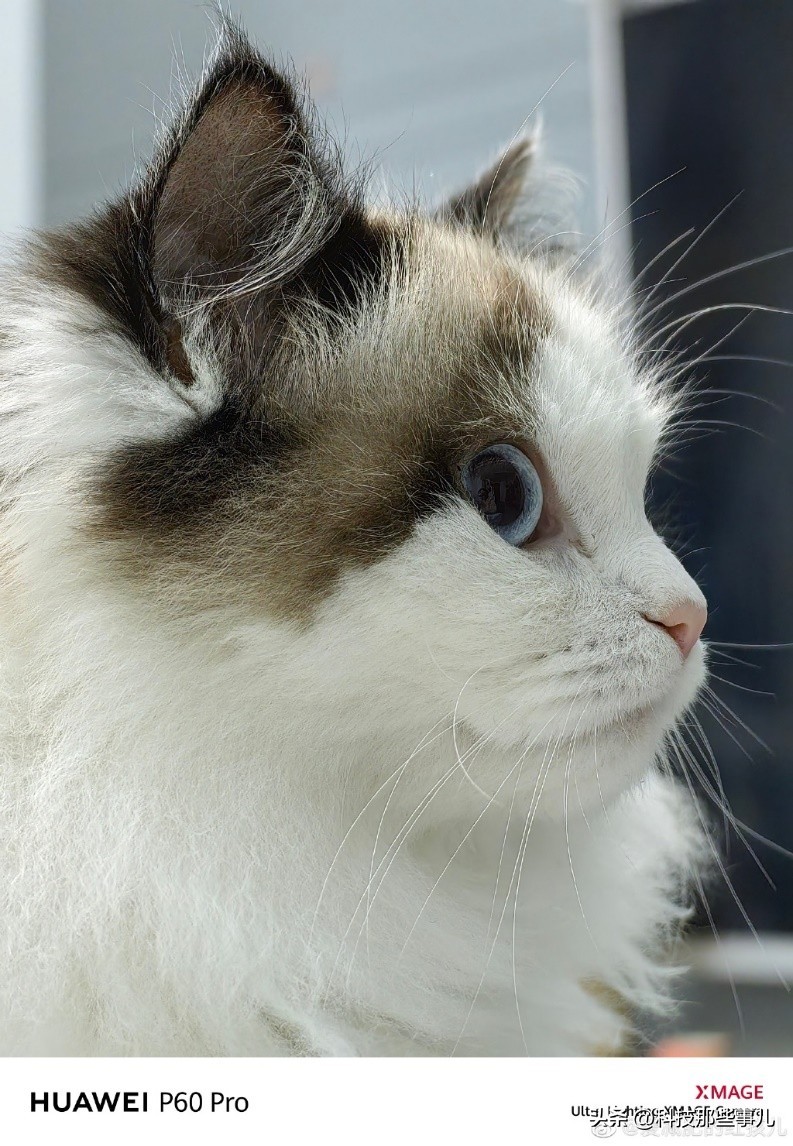 华为p60支持香港八达通吗,华为p60pro开通八达通