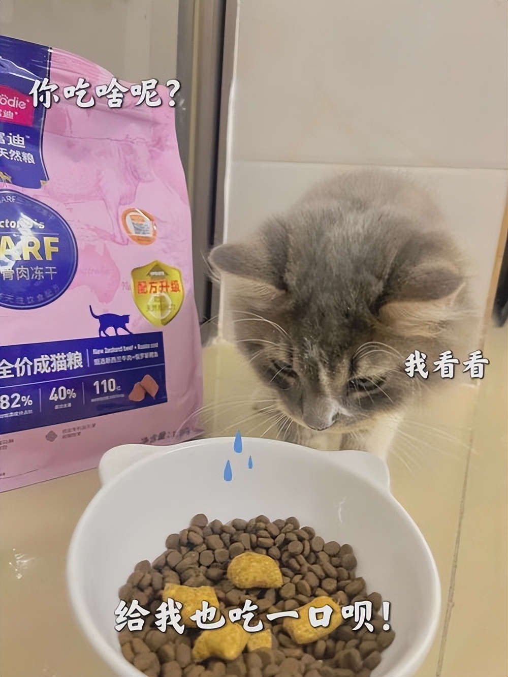 猫吐的颜色分析,猫咪吐褐色粘液是什么原因