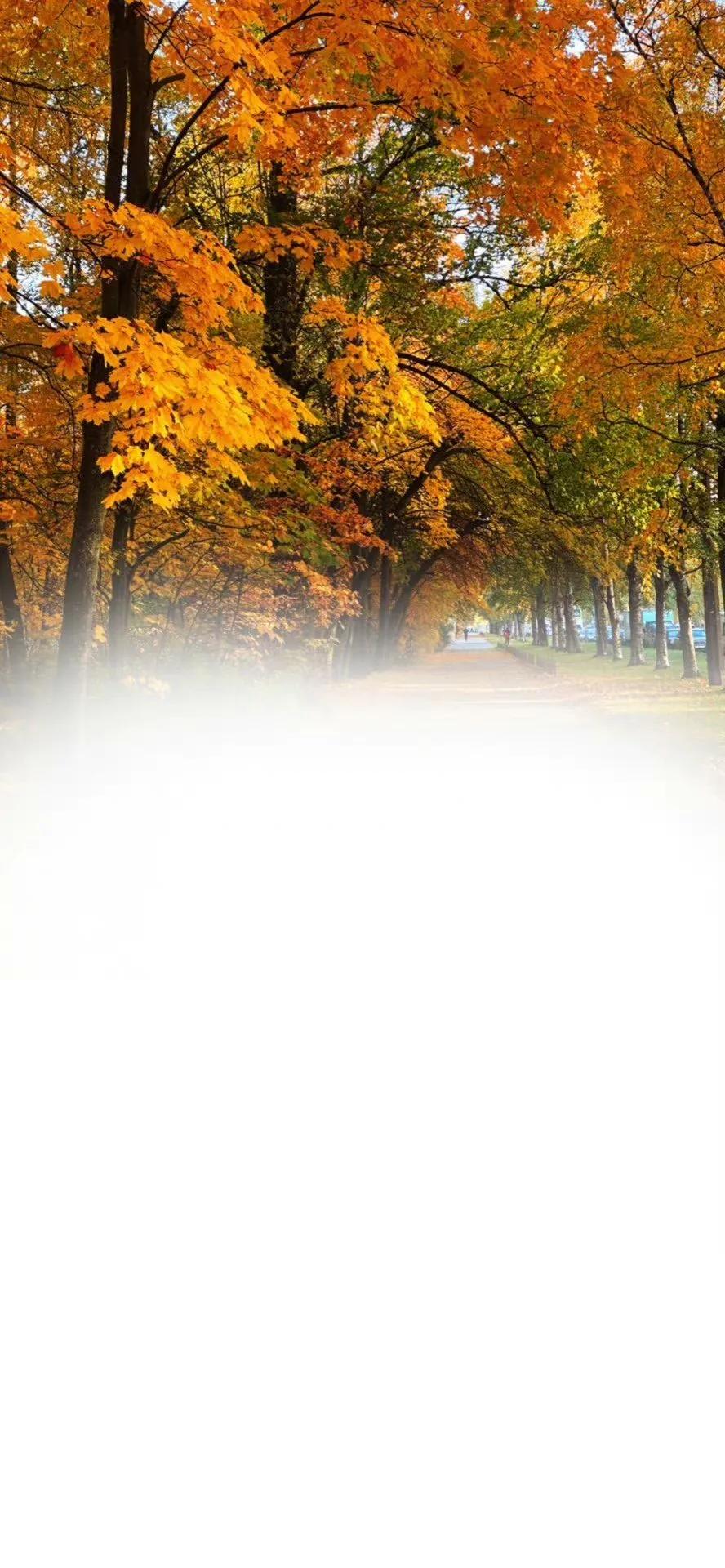 佛意境背景壁纸,微信聊天背景意境