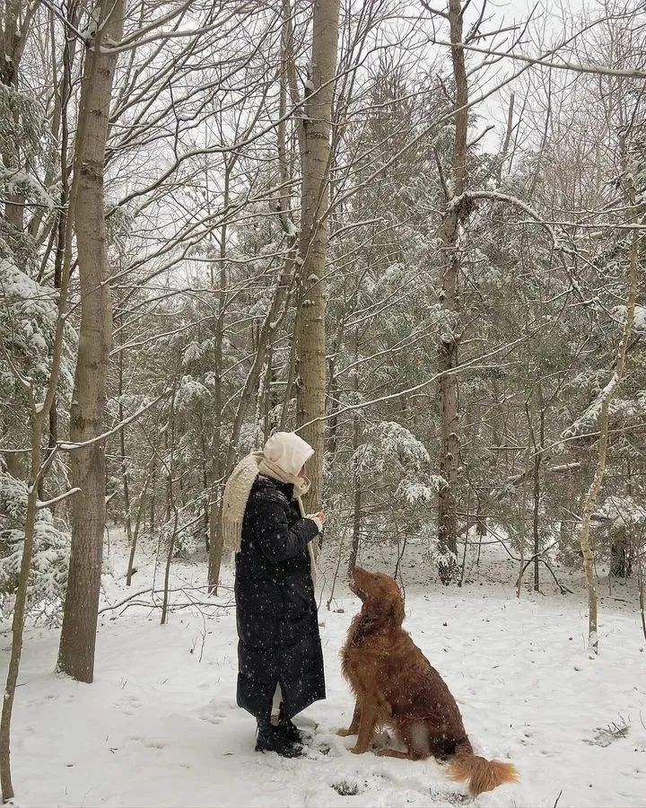 圣诞礼物实用又好看,圣诞礼物实用礼物