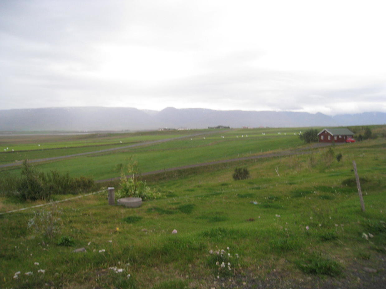 血统最纯正的冰岛马,最纯正的冰岛马