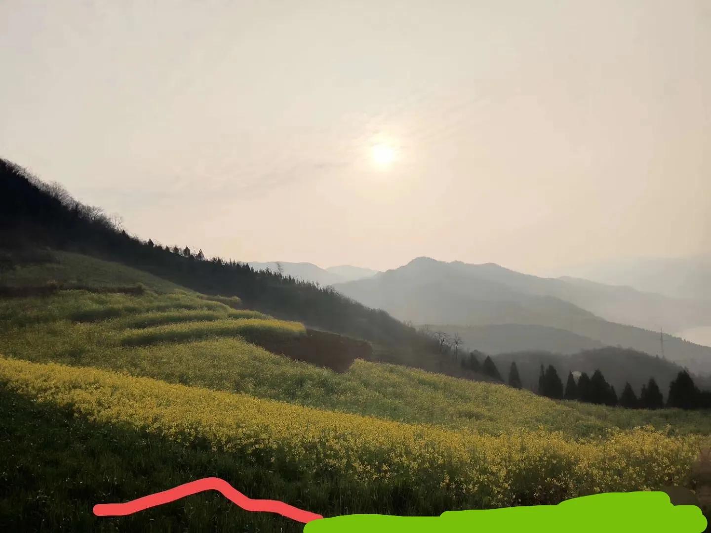 人生活着为什么这么累,人生在世为什么会活得如此累