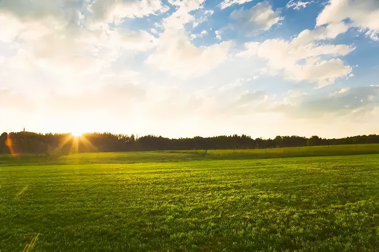疫情期间深圳打工者,疫情期间失业的白领