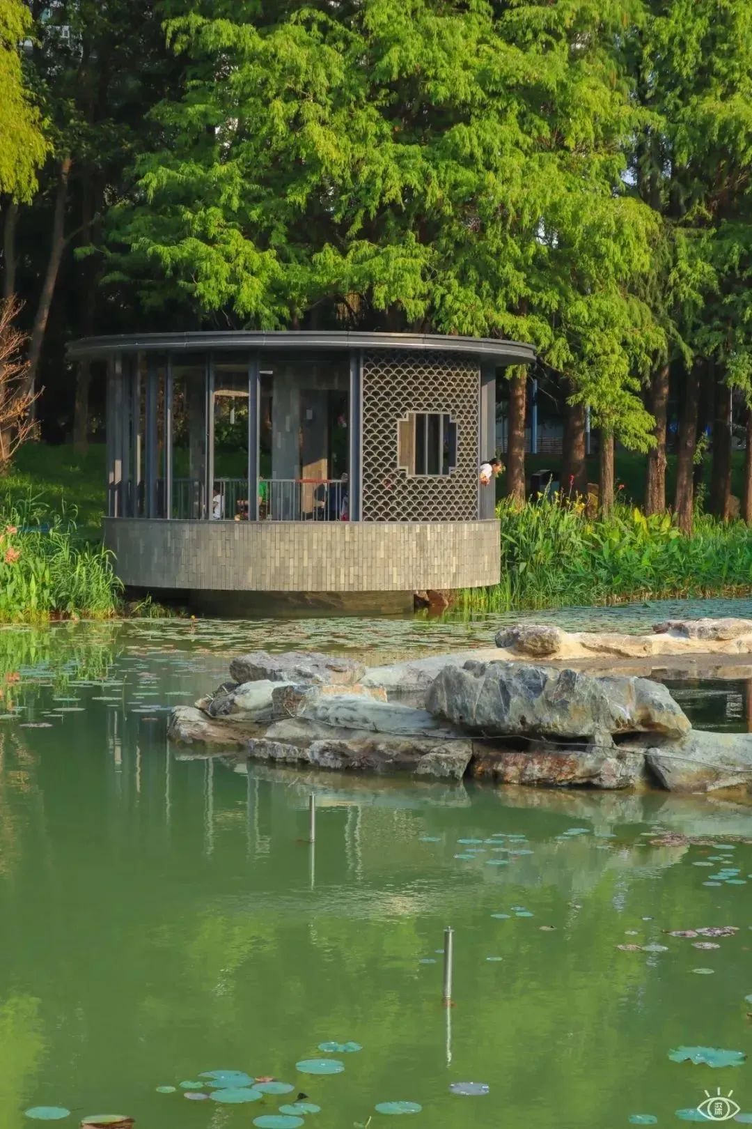 深圳地铁五号线十号线游玩地点,深圳地铁12号线最新最全线路图