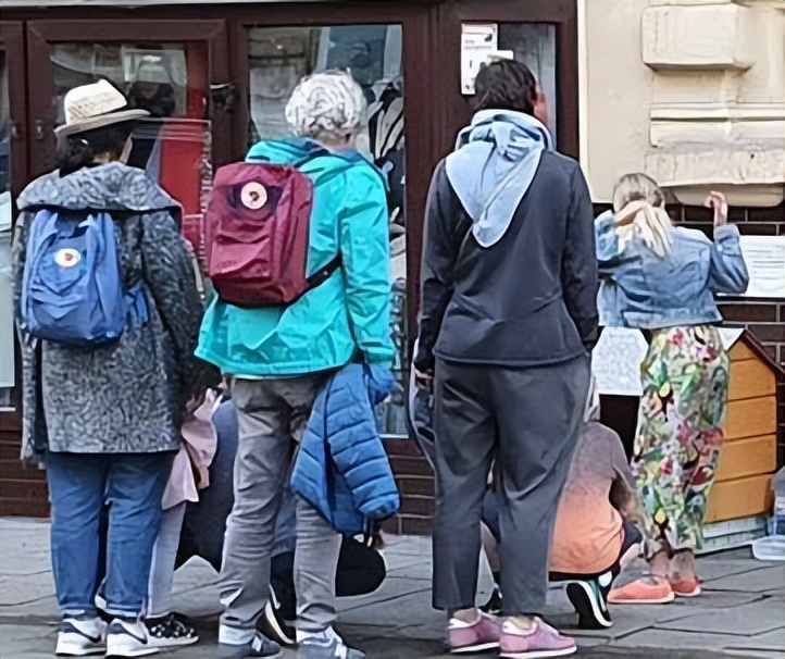 波兰一流浪猫成5星旅游景点,一只流浪的大肥猫