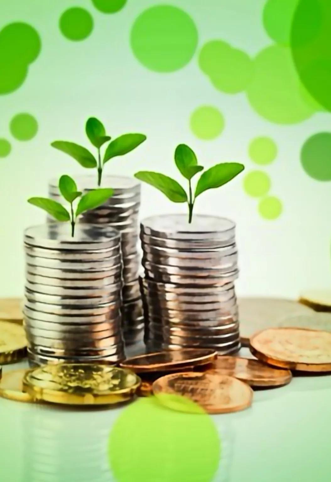 个人借款要注意什么风险,七条小常识关键时刻能保命