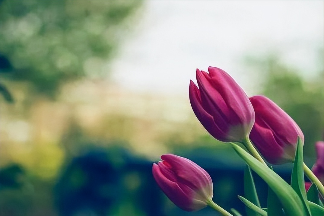 不要对男人太好就算你真的很爱他,不要对男人太好算你真的很爱他吗