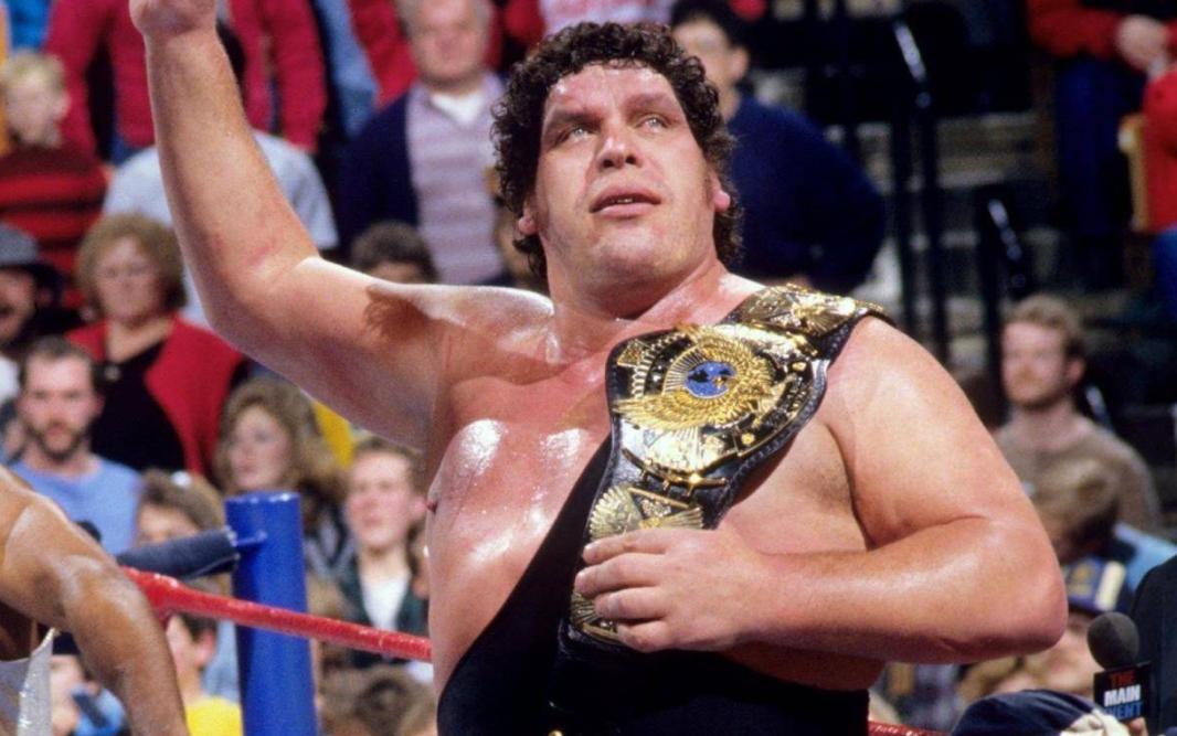 巨人安德雷力气有多大,巨人安德雷视频