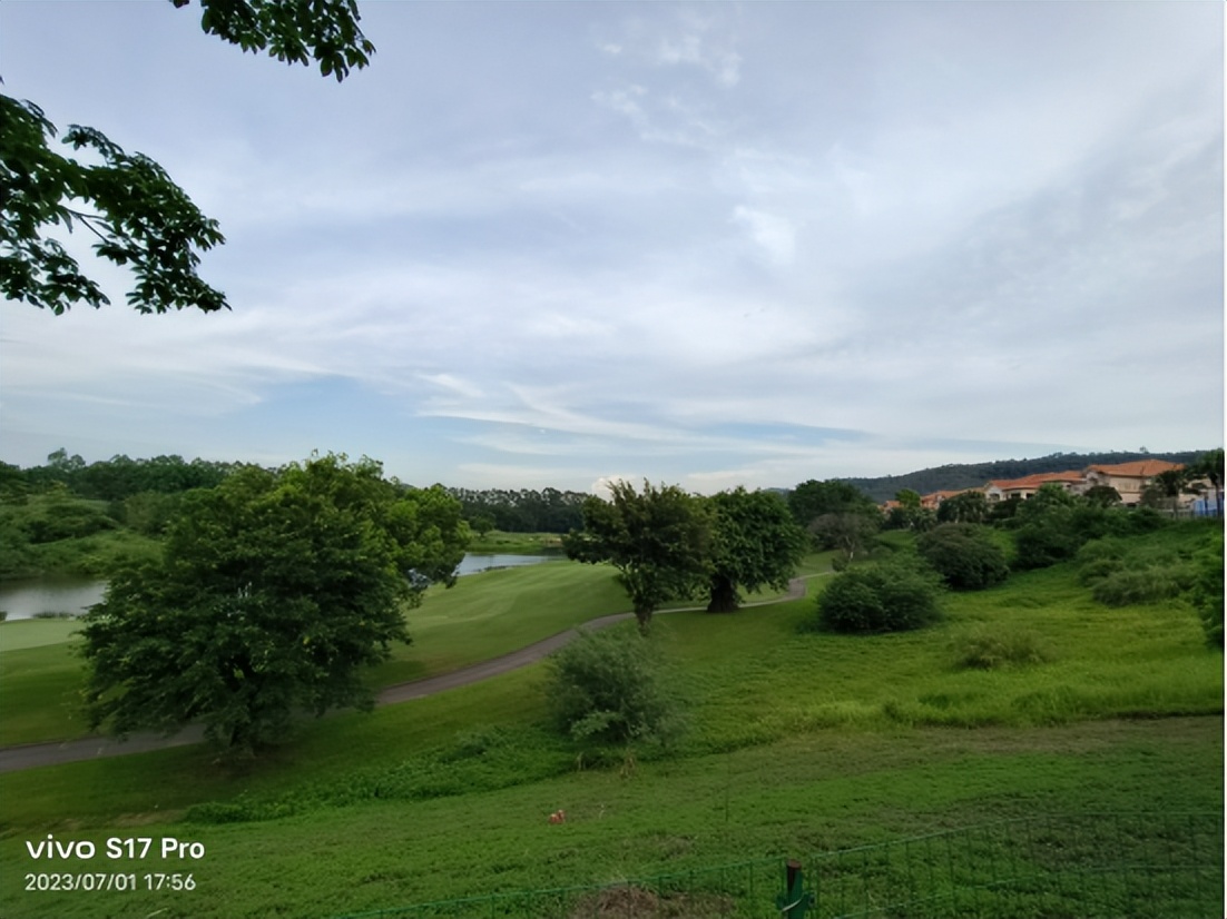 vivos17pro柔光灯试用,vivos17pro冰白玉光与夜