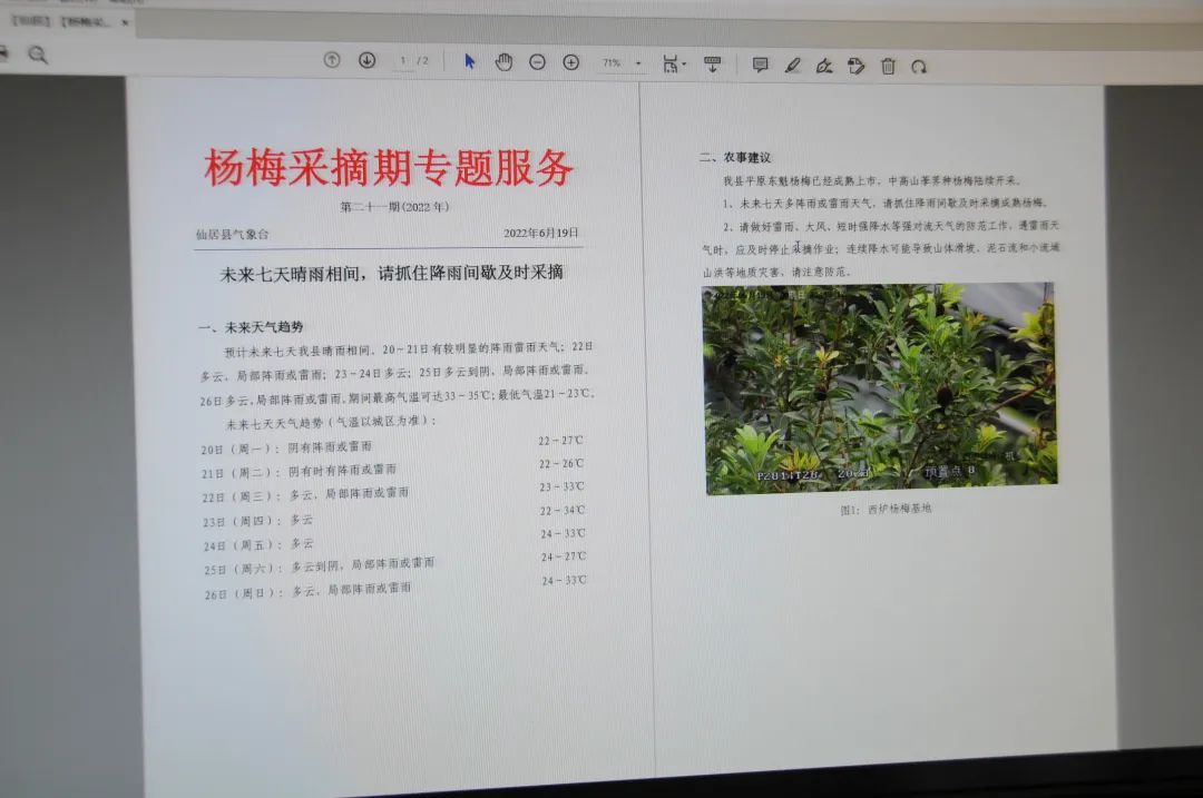 杨梅生活在什么气候中,东魁杨梅生长气候