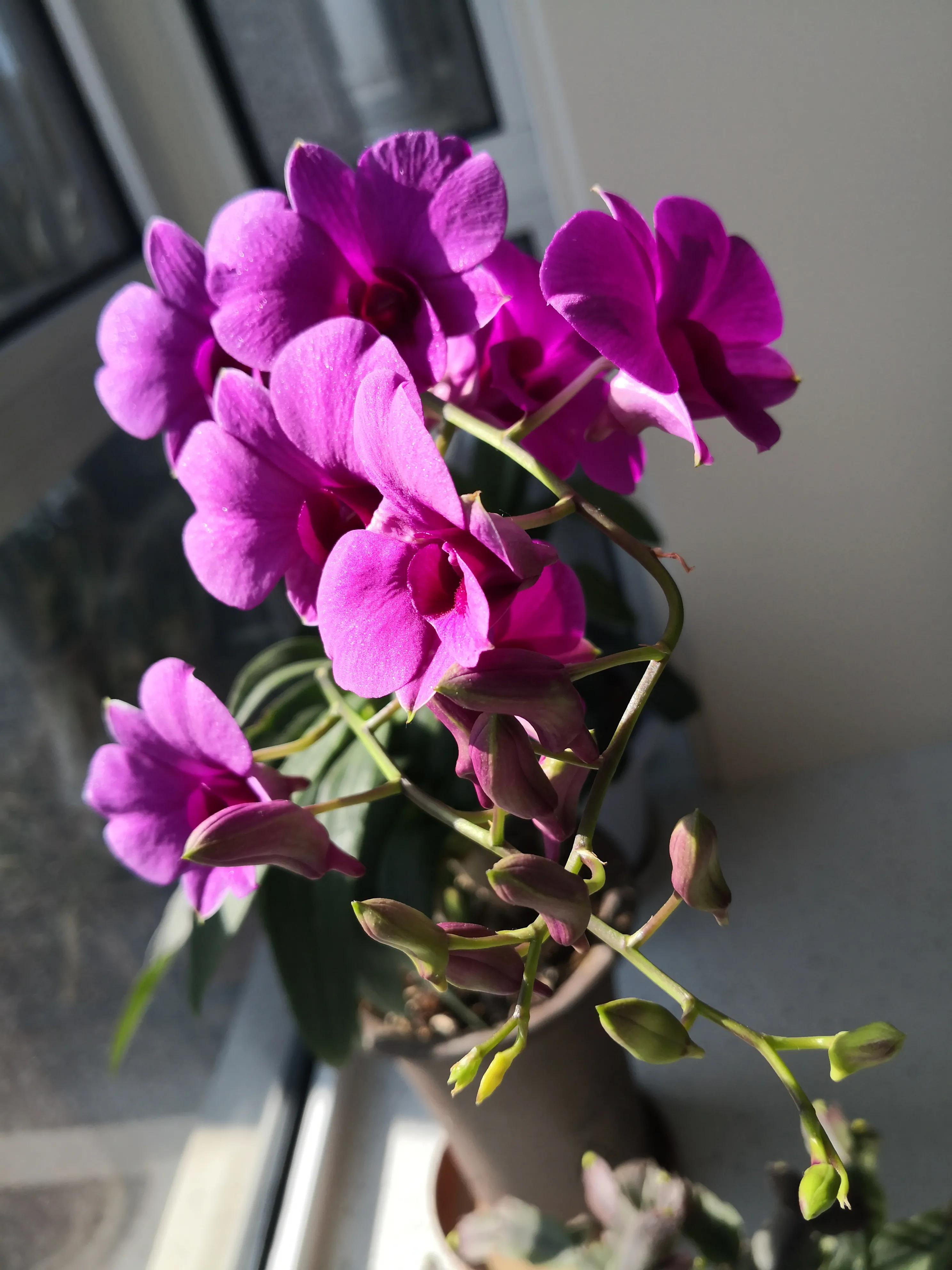 足球48号是谁,中国足球小将48号