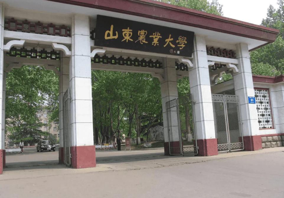 中国烟草最认可的大学,中国烟草最认可的六所大学