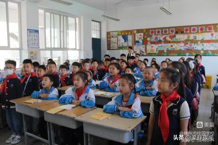 聚焦德育活动促学生全面发展,聚焦入学助力儿童成长公开课