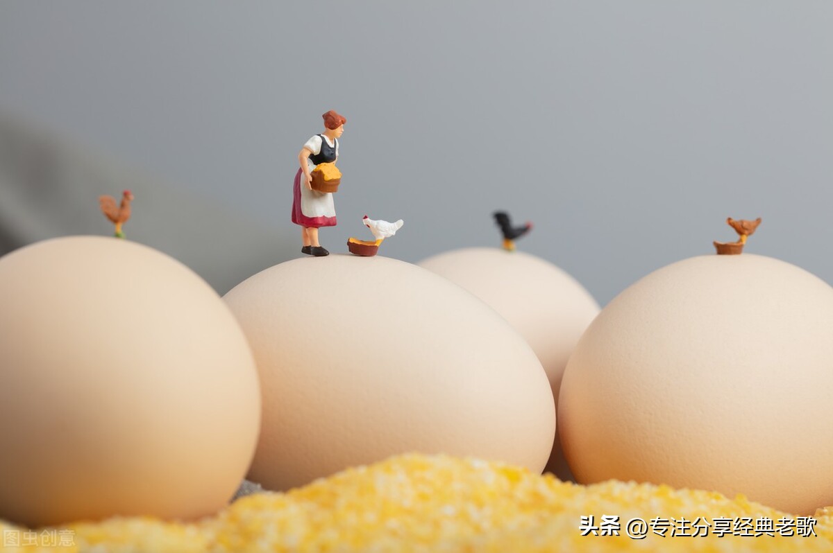 有招聘养鸡饲养员的吗,养鸡场招工200块钱一天包吃包住