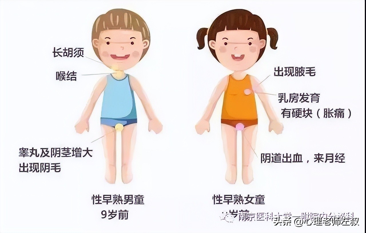 青春期生理发展的主要特征是,青春期生理的主要表现