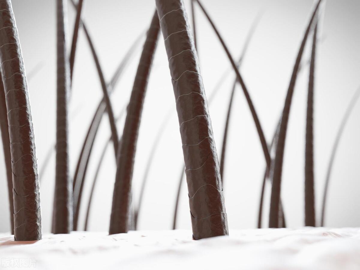 阴毛有什么用？经常刮，对身体健康是好是坏？答案来了