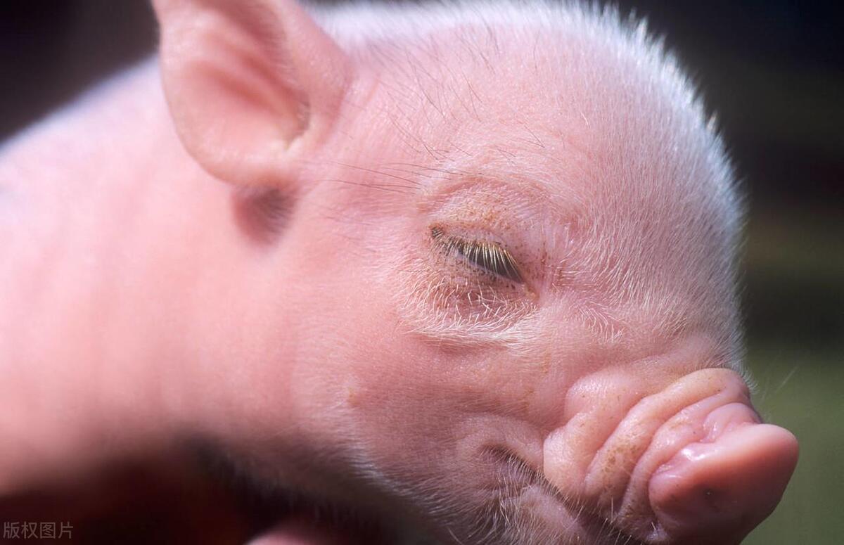 最热门的冷知识,冷知识大全1000条奇葩冷知识