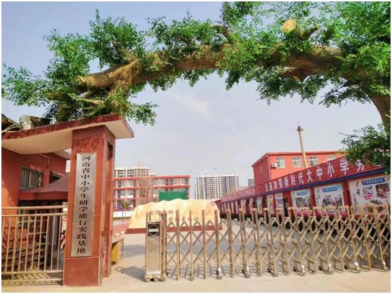 多样化的教学方法和手段,基于问题导向的互动式教学