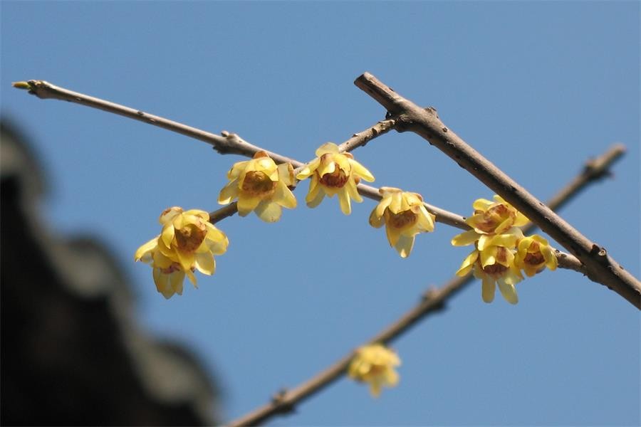 退休前有远见的人都会做好三件事,退休的人应该做好哪几件事