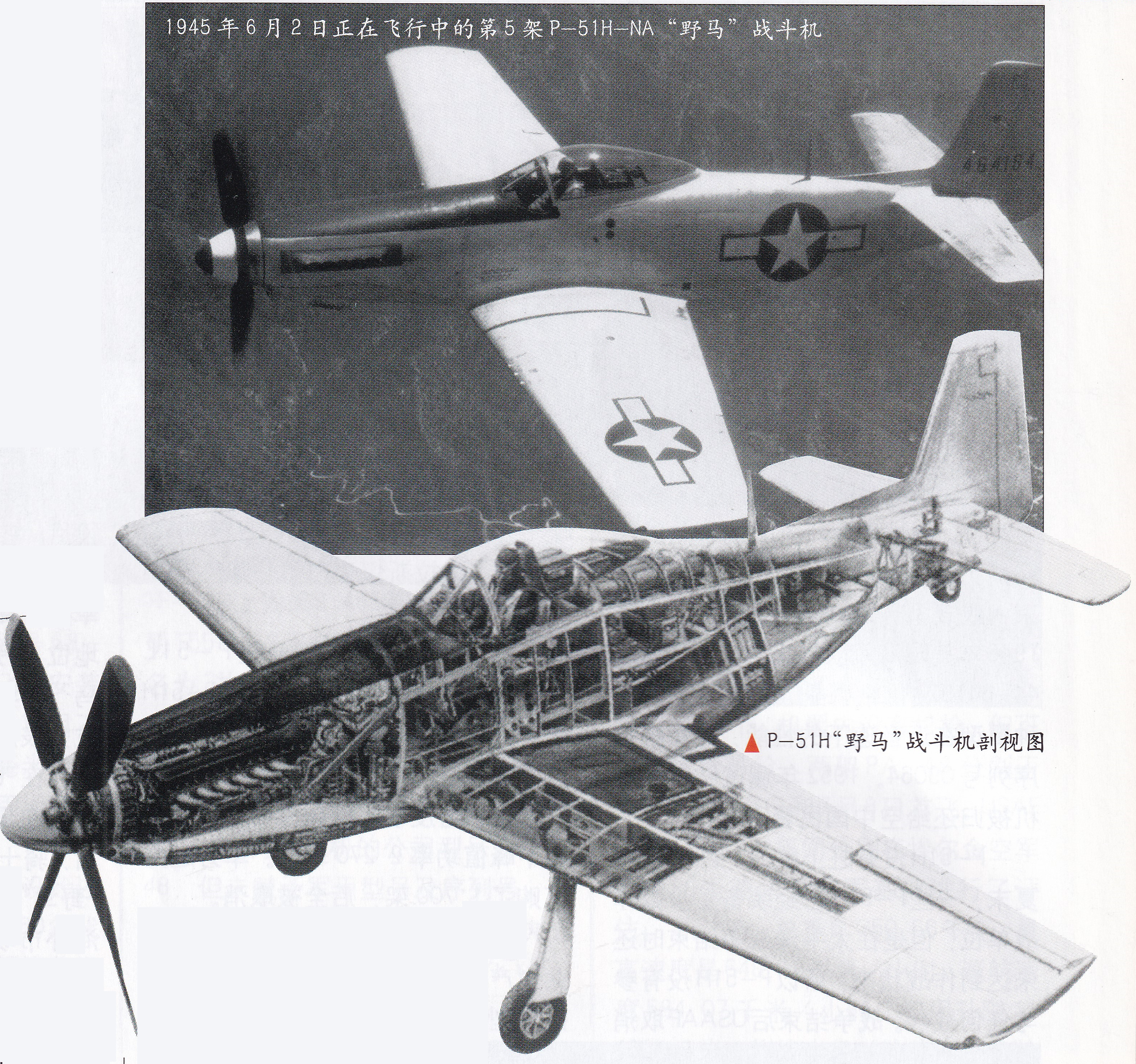 p61野马战斗机的各种型号,升级版p51野马战斗机