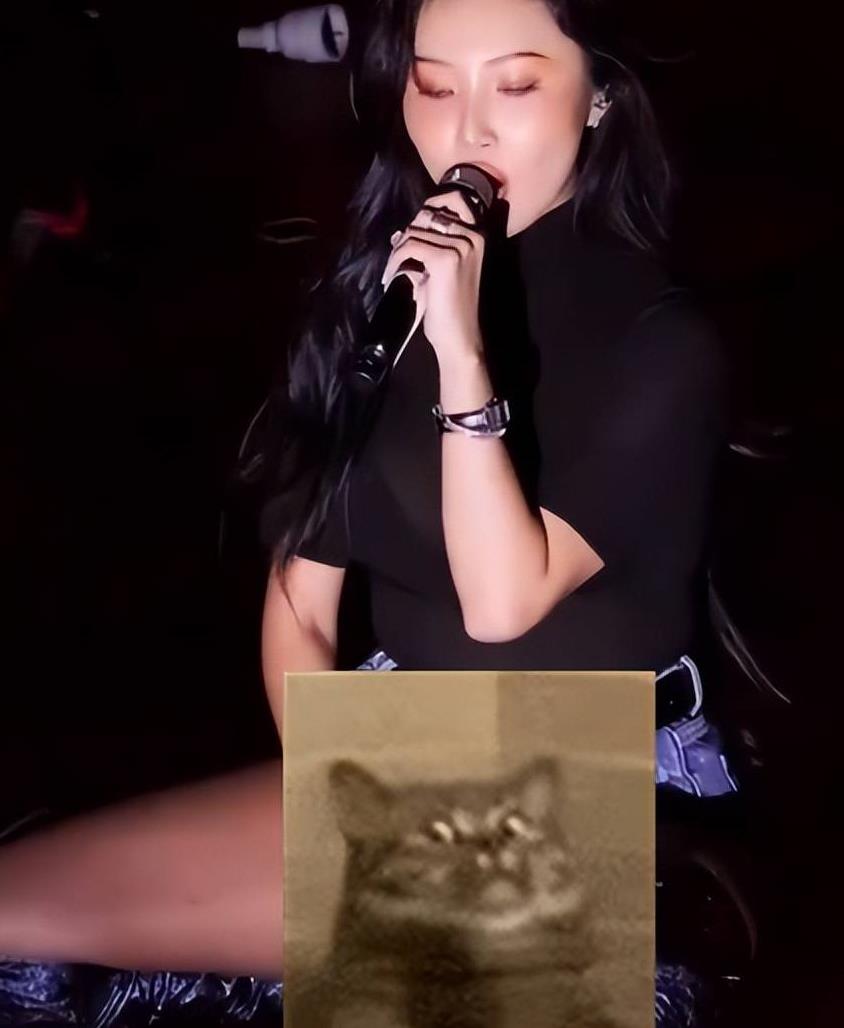 华莎涉演出淫乱罪接受调查,华莎涉演出淫乱罪被传唤