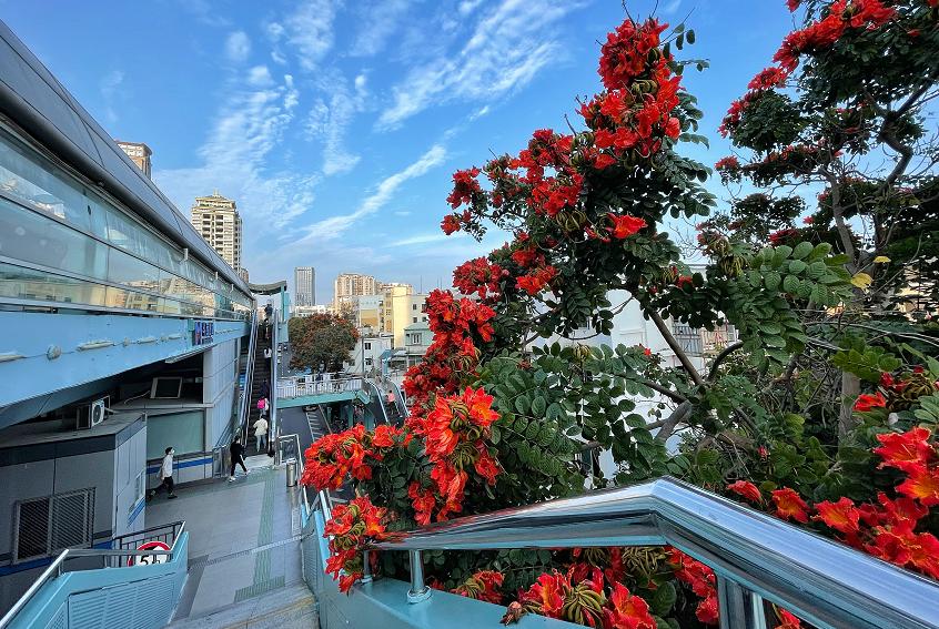 brt鐜板湪鎬庝箞涔樺潗,brt涔樺潗鏀荤暐