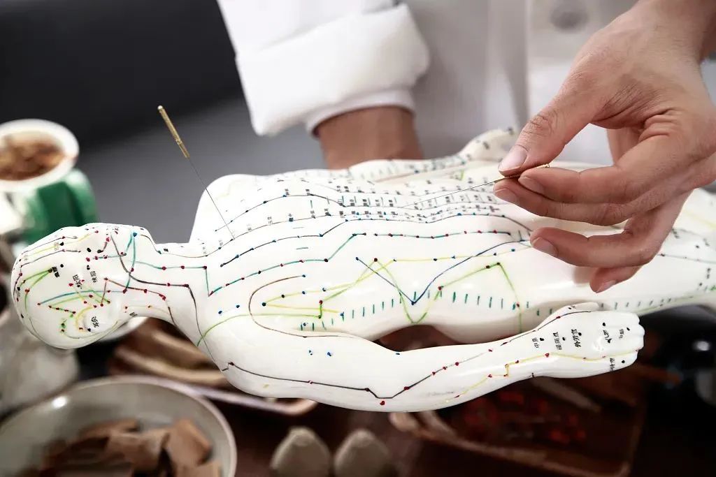 切脉针灸治癌中与中草药的协同作用