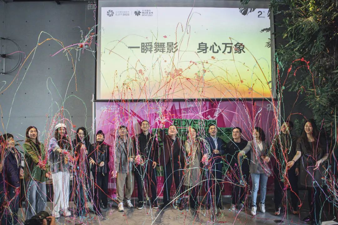 北京国际舞蹈影像艺术季组委会,第二届中国舞蹈影像展