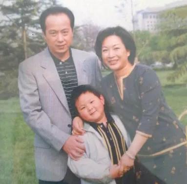 罗京年轻时巅峰帅照,罗京照片