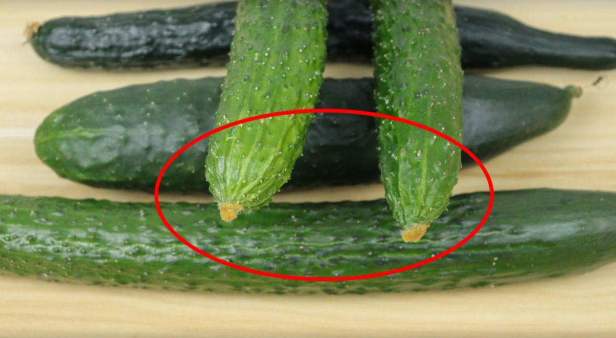 如何辨别黄瓜是否打了激素,水果黄瓜怎么辨认激素黄瓜