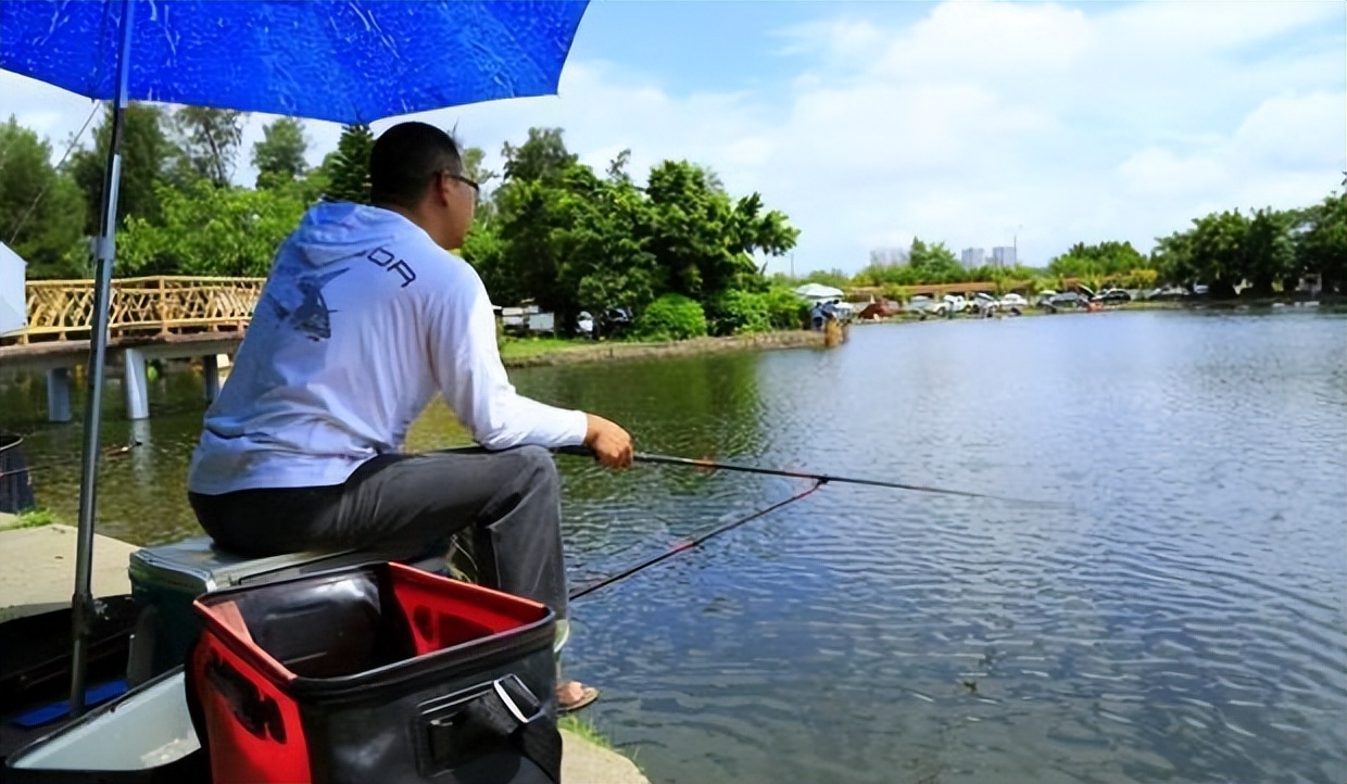 黑坑窝里总是聚不到鱼,黑坑钓起来的鱼怎么处理