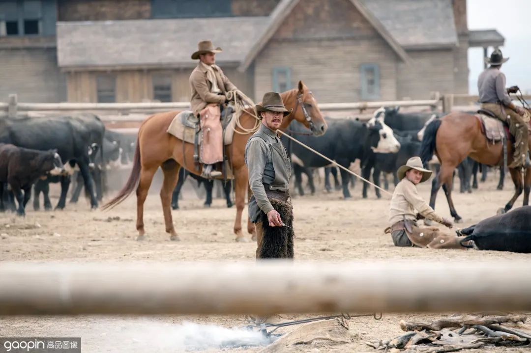 最受欢迎的蜘蛛侠排行完整视频,最受欢迎的蜘蛛侠排行榜3