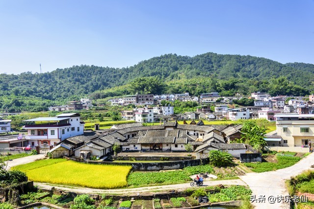 美丽乡村绘画,美丽乡村1-45集免费