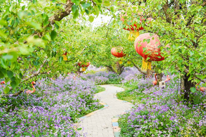 宿州两日游,安徽宿州一日游推荐