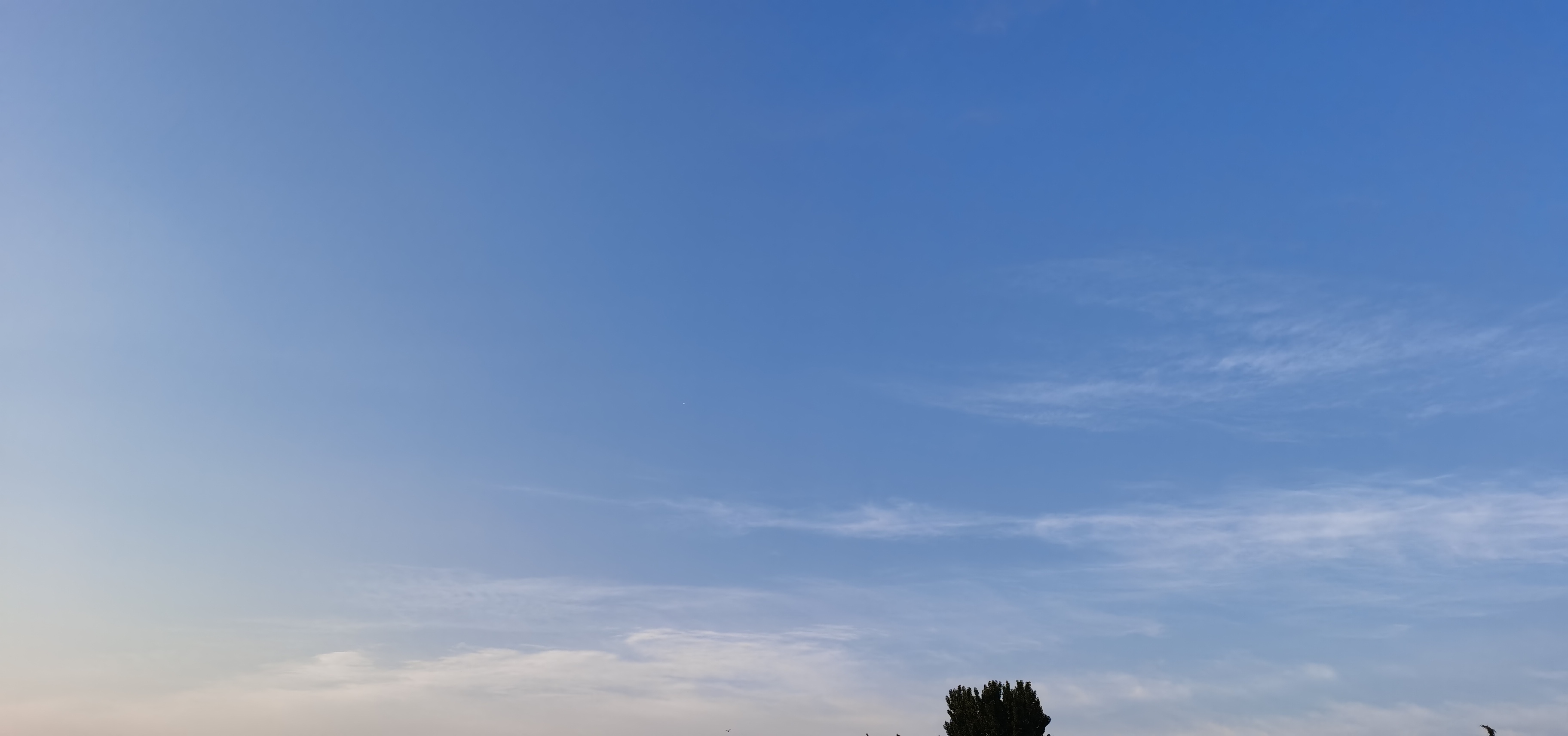 林肯总统与政敌的故事,林肯和肯尼迪的暗死之谜