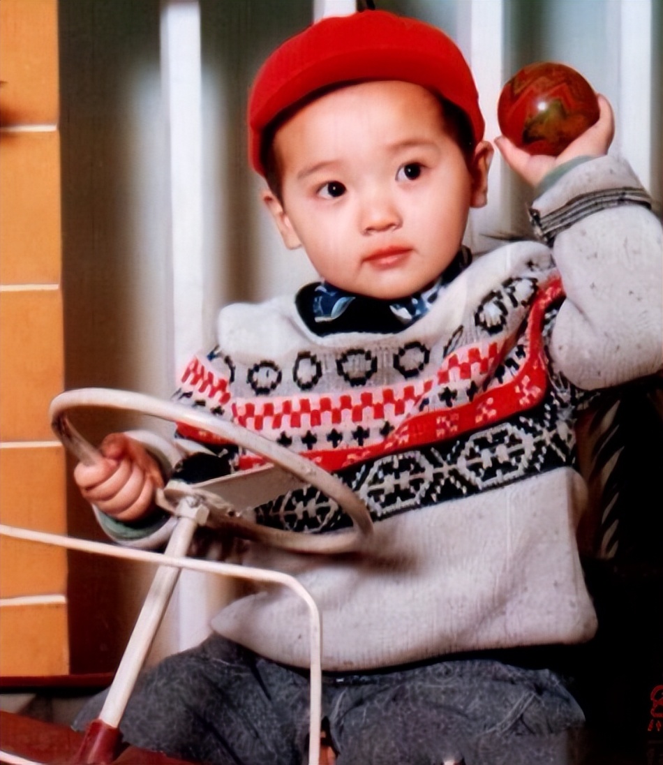 董璇离婚原因揭秘,董璇离婚原因找到了吗