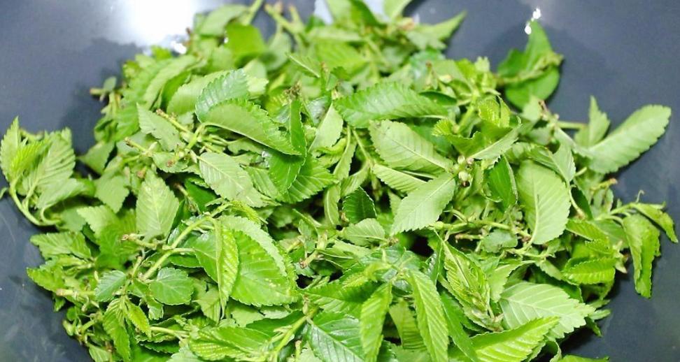 春天多吃蒸菜身体好分享9道蒸菜,春天蒸什么菜好吃又营养