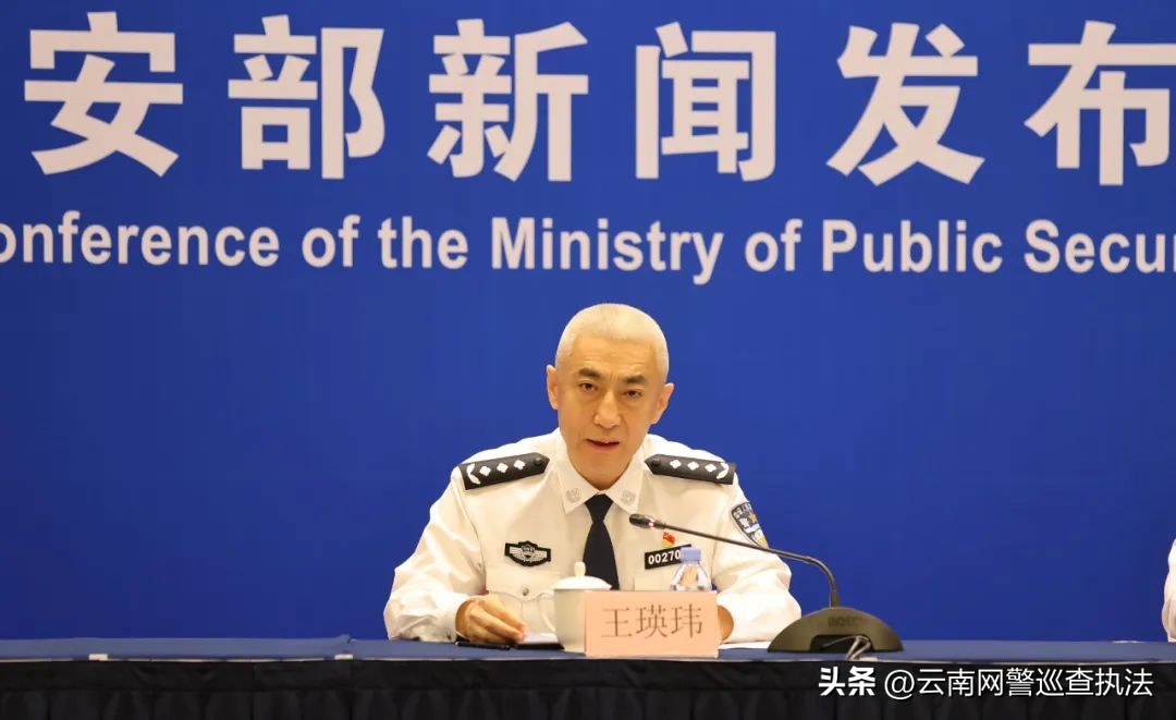 百日行动打击网络犯罪,打击网络违法犯罪专项行动总结