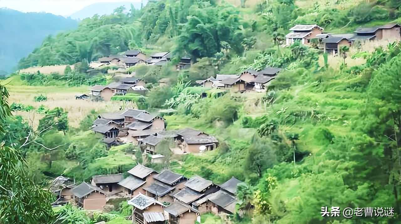清明节前捕捞的鱼,清明节可以杀鱼吃吗