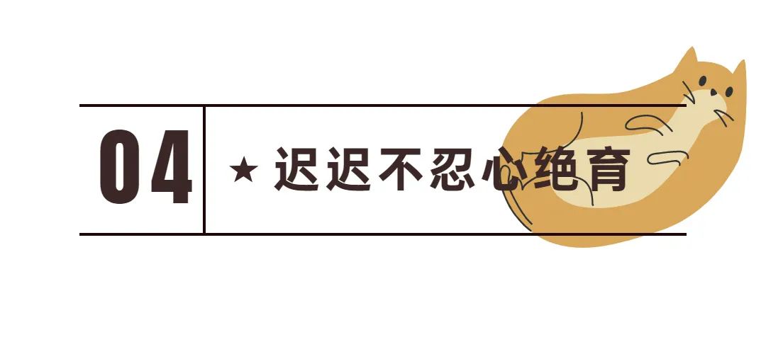 新手常见的害猫行为,看似爱猫实测害猫的五个行为
