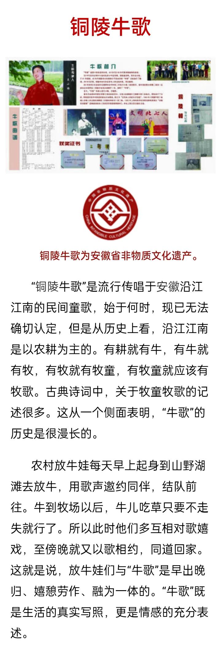 铜陵地域文化,铜陵学院疏仁华