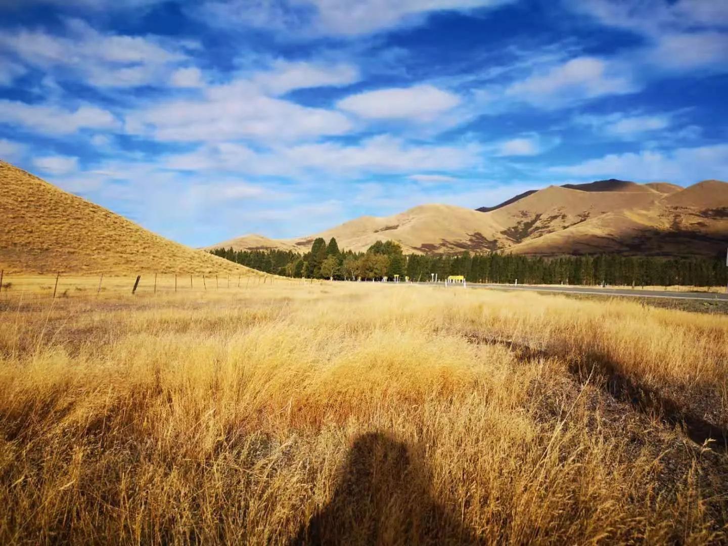 我为啥要娶一个小我10岁的法国女孩，是真爱吗