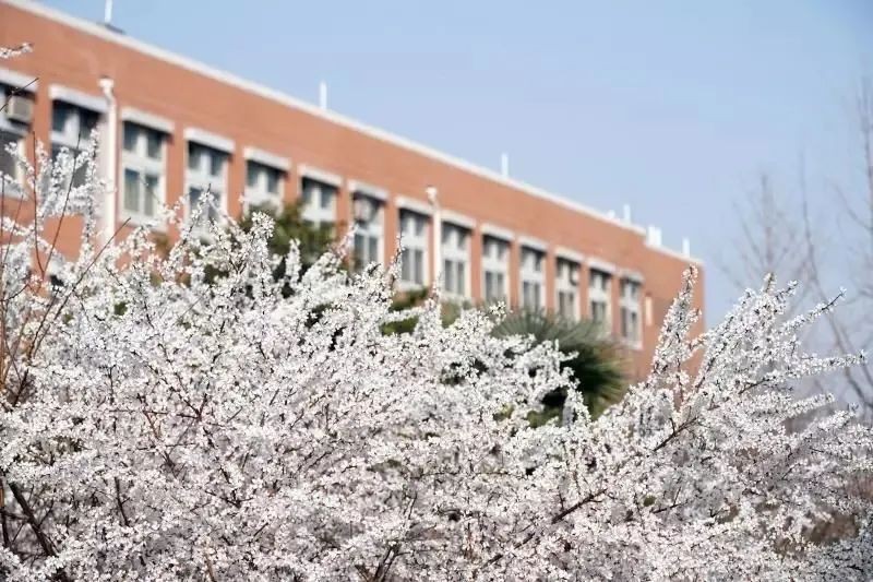 国家专项计划郑州大学,国家对郑州大学的支持力度怎么样