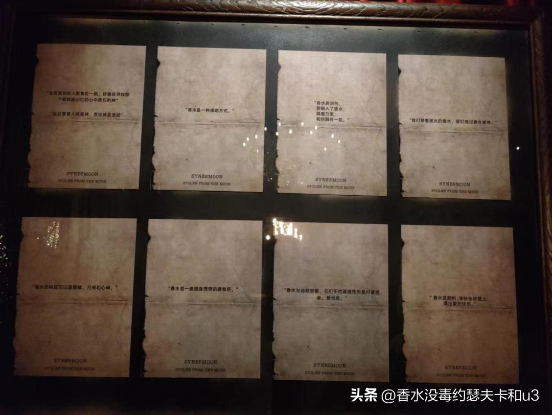 绝世大冤种什么意思,绝世大怨种小说