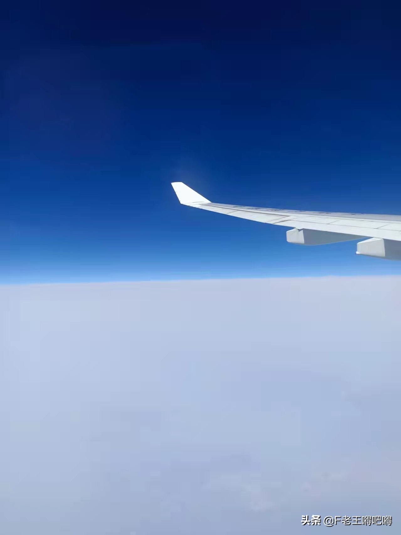 日本拟放宽入境限制,日本入境最详细流程