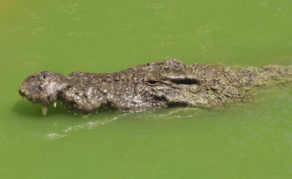 古代没有现代的避孕方法,古代没有避孕措施怎么避孕