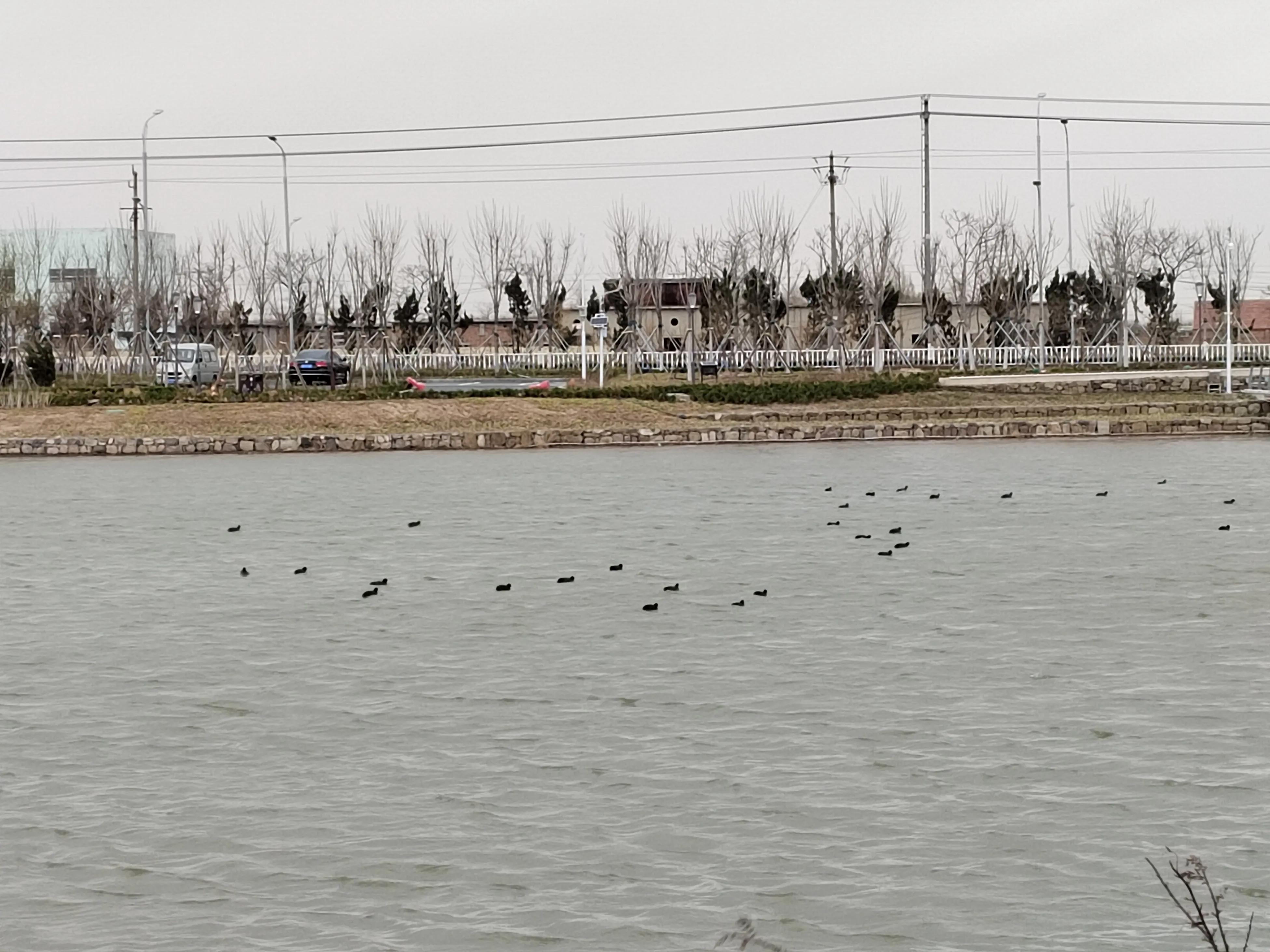 游东湖公园400字,游北山公园感悟